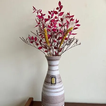 Casa Da Fonte - Vintage House And Rooftop *