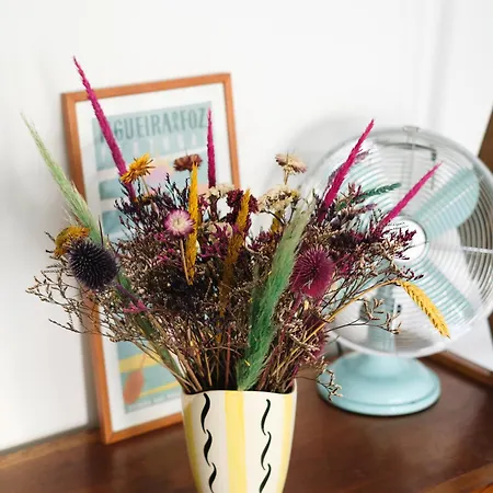 度假居 Casa Da Fonte - Vintage House And Rooftop 菲盖拉-达福什